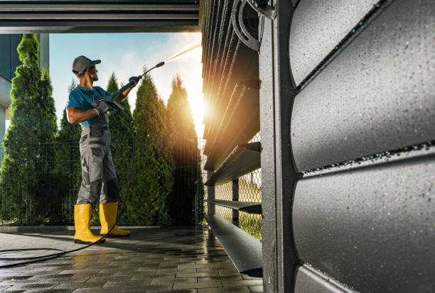 Best Driveway Pressure Washing  in Frisco City, AL